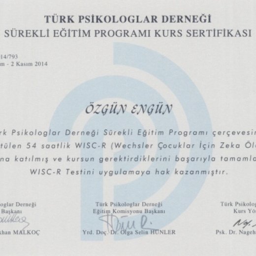 Klinik Psikolog Özgün Engün Özel Sağlık Hizmet Birimi